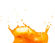 Splash Img
